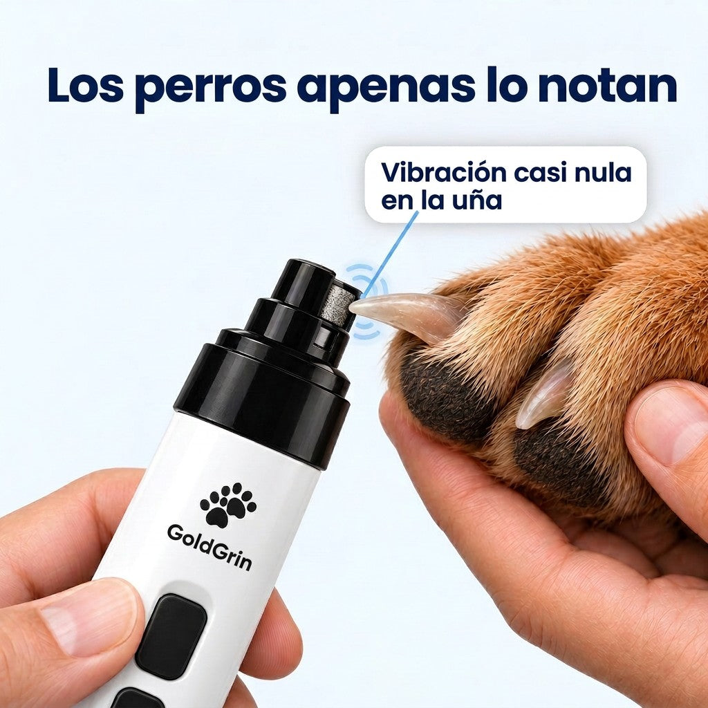 Limadora Silenciosa GoldGrind
